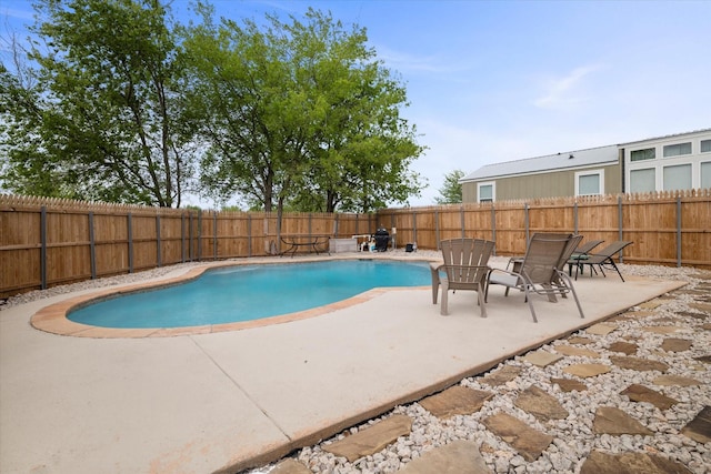 view of pool with a patio area