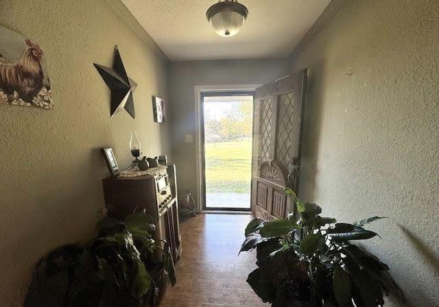 doorway to outside featuring wood-type flooring and a textured ceiling