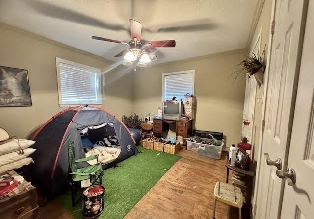 carpeted bedroom with crown molding and ceiling fan