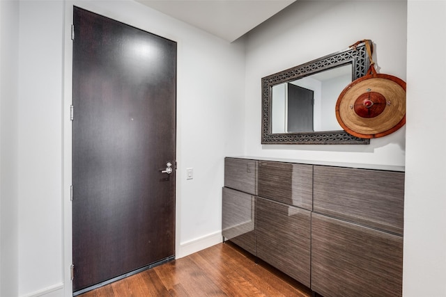 foyer entrance with dark wood-type flooring