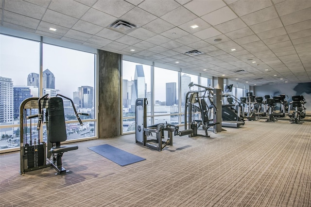 workout area with carpet flooring and a wall of windows