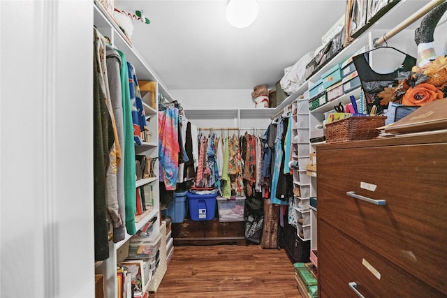 walk in closet with dark wood-type flooring