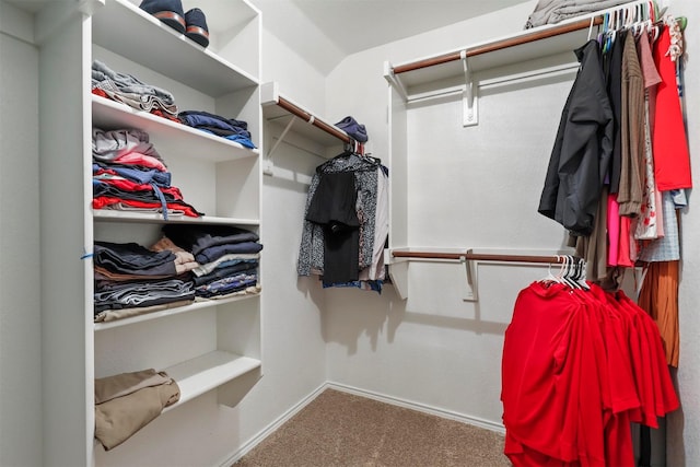 walk in closet featuring carpet