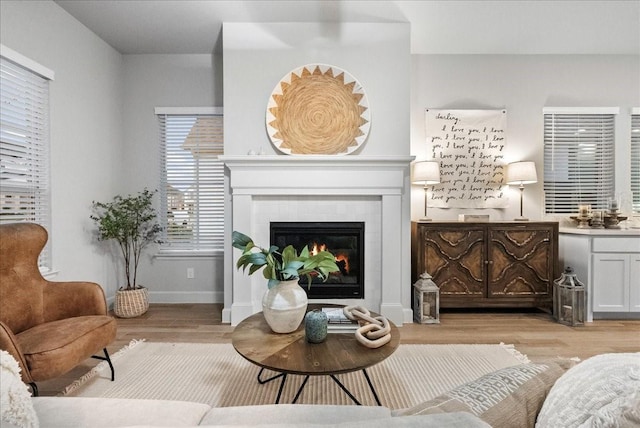 living area with a fireplace and light hardwood / wood-style flooring