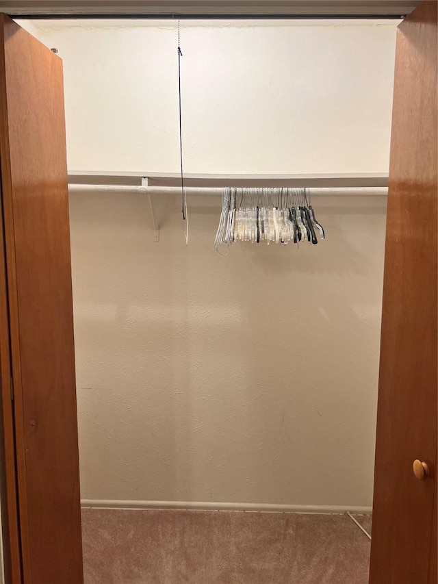 view of closet