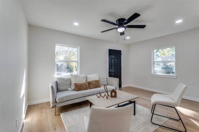 living room with ceiling fan and light wood-type flooring