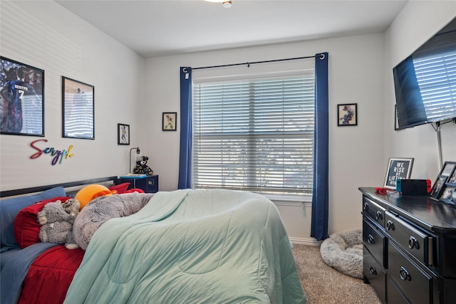 bedroom with carpet flooring