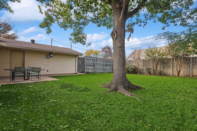 view of yard with a patio area