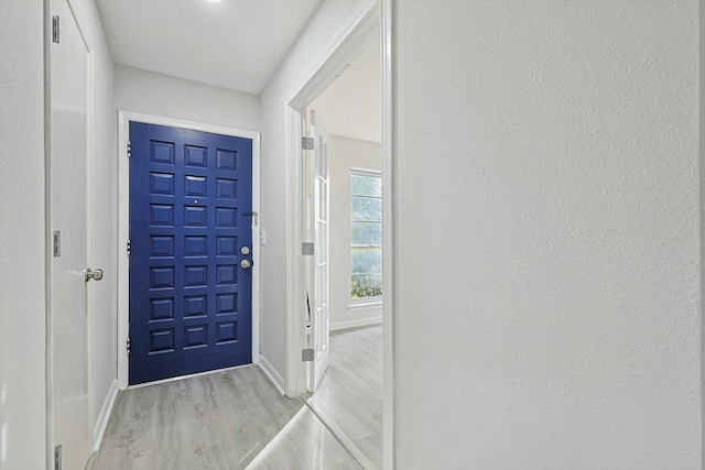 entrance foyer with light hardwood / wood-style floors