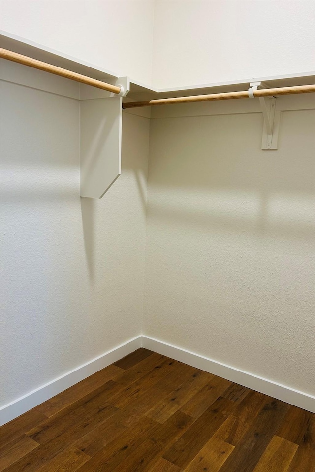 walk in closet with hardwood / wood-style flooring