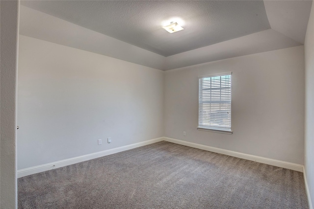 carpeted empty room featuring a raised ceiling and a textured ceiling