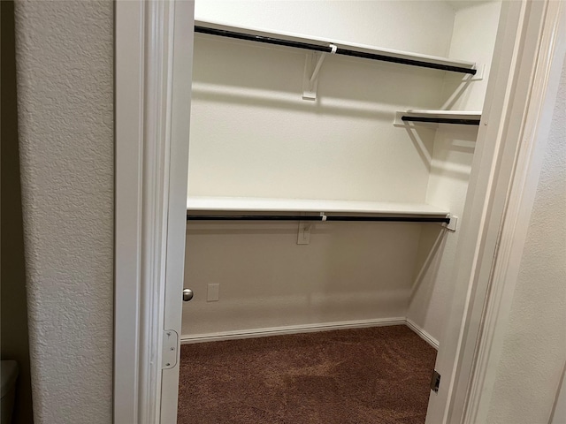 spacious closet featuring carpet floors