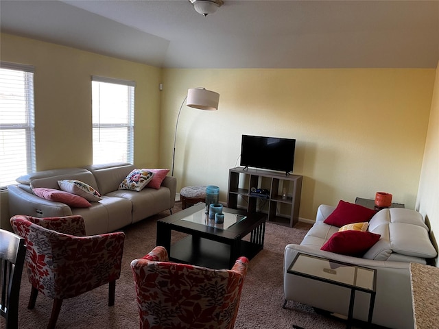 carpeted living room with a wealth of natural light