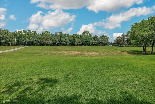 view of yard with a rural view