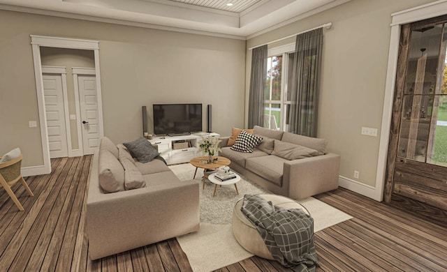 living room featuring a raised ceiling, wood-type flooring, and ornamental molding