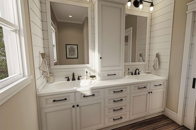 bathroom featuring plenty of natural light, vanity, and hardwood / wood-style floors