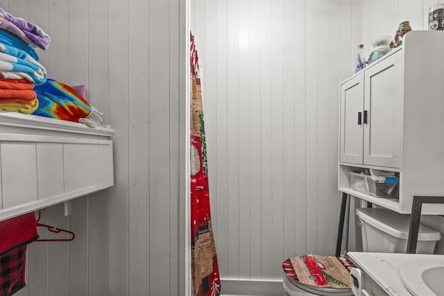 interior space featuring vanity, wood walls, and toilet