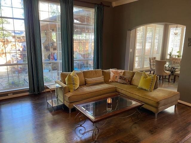 interior space featuring plenty of natural light and dark wood-type flooring