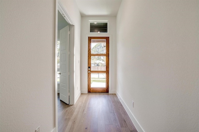 entryway featuring a healthy amount of sunlight and light wood-type flooring