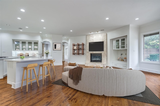 living room featuring crown molding, a large fireplace, and dark hardwood / wood-style flooring