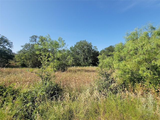 Listing photo 3 for TBD Ballycastle Dr, Brownwood TX 76801