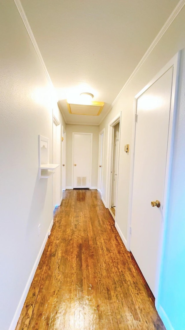 corridor featuring crown molding and hardwood / wood-style flooring