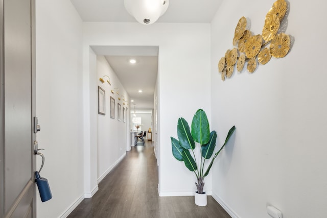 hallway featuring dark wood-type flooring