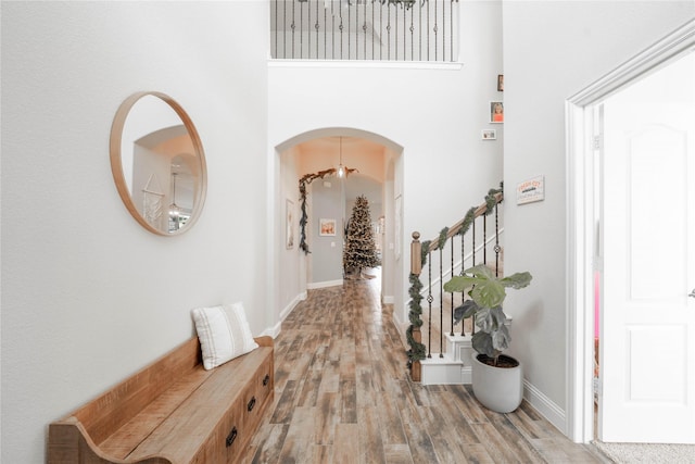 entryway featuring a towering ceiling and light hardwood / wood-style floors