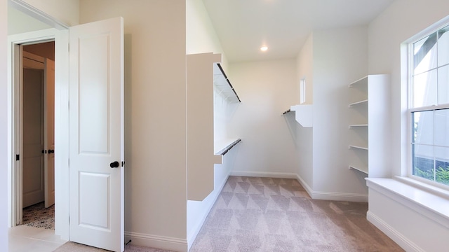 spacious closet featuring light carpet