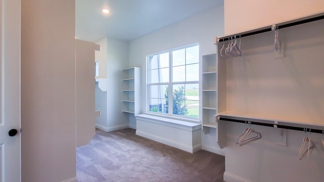 spacious closet featuring carpet floors