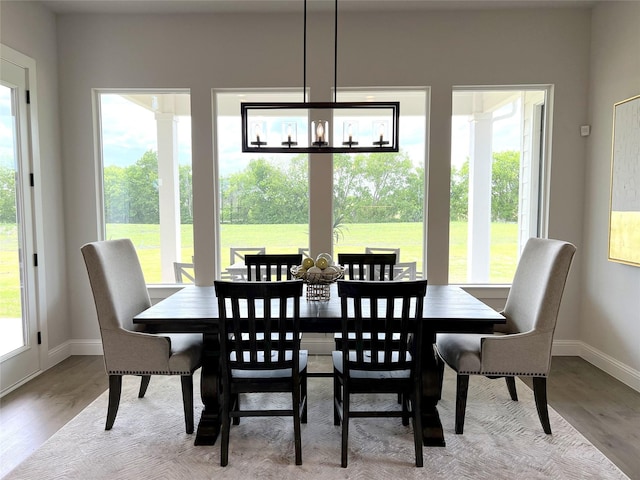 dining room featuring plenty of natural light and light hardwood / wood-style flooring