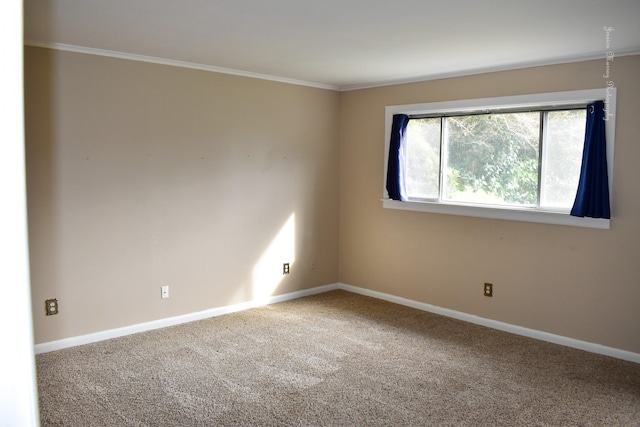 spare room with crown molding and carpet