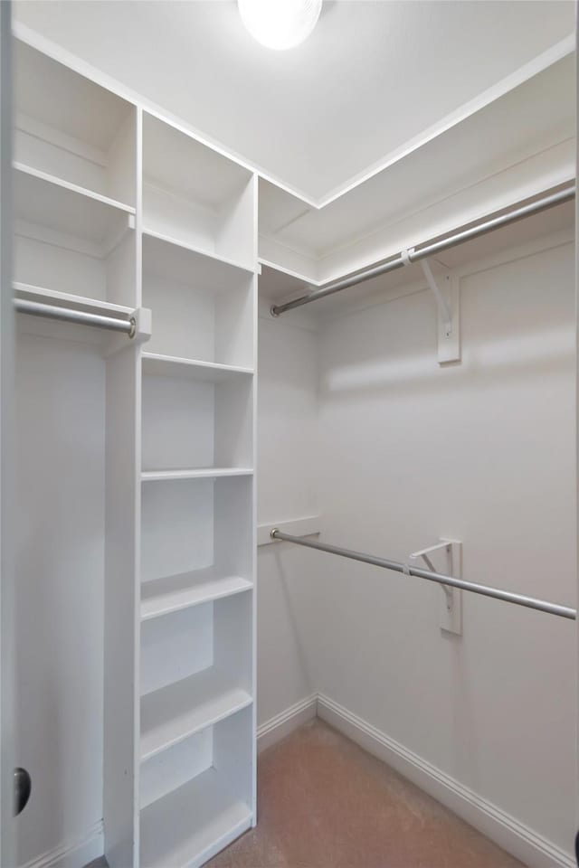 spacious closet with carpet flooring