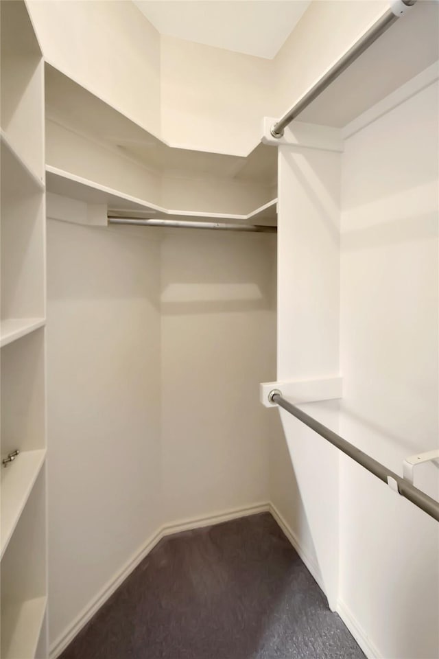 walk in closet featuring dark colored carpet