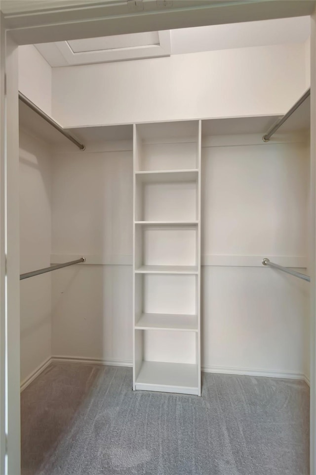 walk in closet with carpet