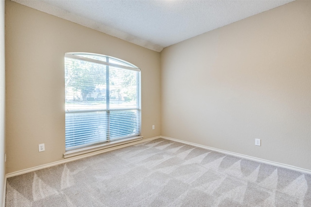 spare room with light carpet and a textured ceiling