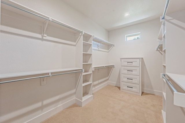 walk in closet with light carpet