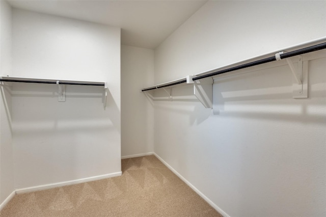 walk in closet with light carpet