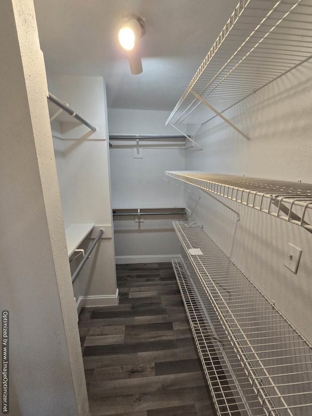 spacious closet featuring dark hardwood / wood-style flooring