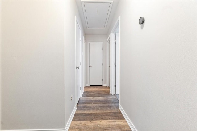 corridor with dark hardwood / wood-style flooring