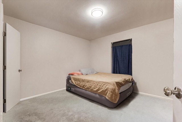 bedroom with carpet