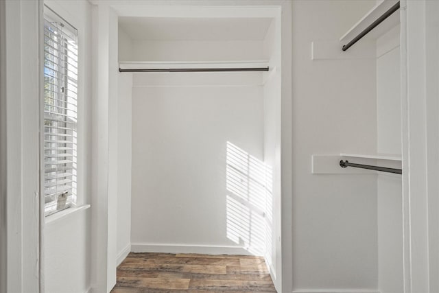 spacious closet featuring a barn door and dark hardwood / wood-style flooring