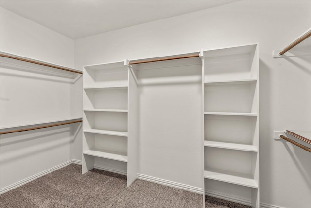 spacious closet with carpet