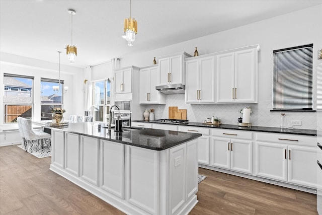 1307 Wheelwright Dr, Forney, TX 75126 - kitchen with appliances with stainless steel finishes, wood finished floors, white cabinets, under cabinet range hood, and backsplash
