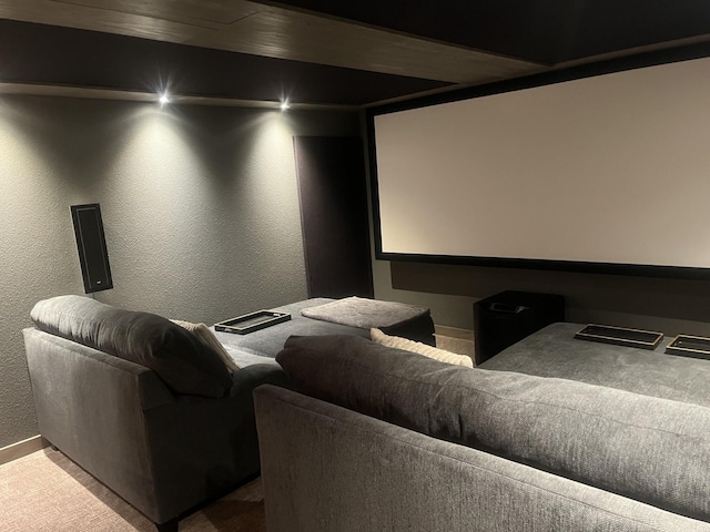 view of cinema room