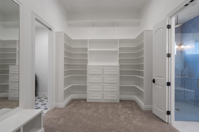 305 Glade Valley Rd, Azle, TX 76020 - spacious closet featuring carpet flooring
