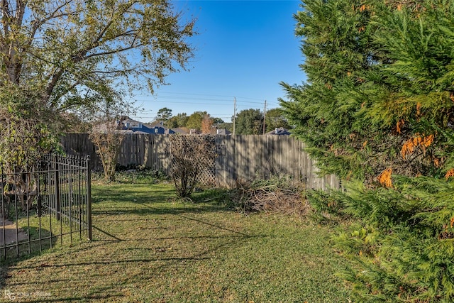 view of yard