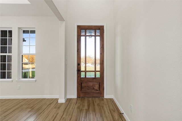 foyer entrance with hardwood / wood-style flooring and plenty of natural light