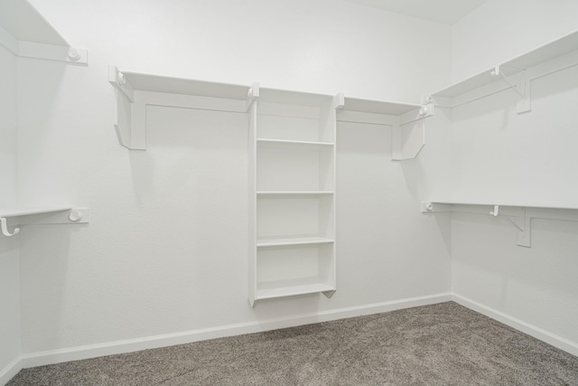 walk in closet with carpet flooring