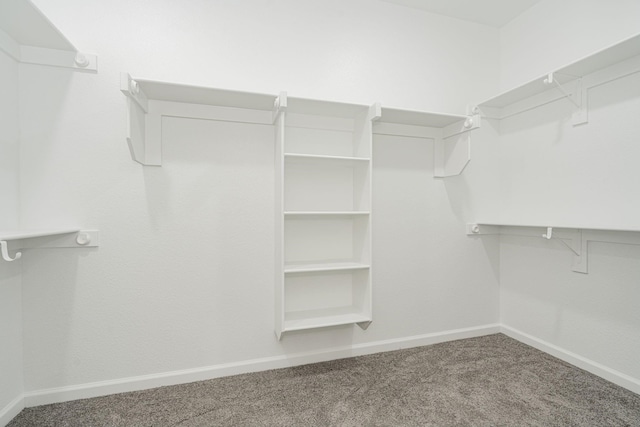 6292 Candy Oak Ct, Royse City, TX 75189 - walk in closet featuring carpet floors